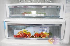 中等收入首選 5000元超值冰柜與冰箱精品推薦',